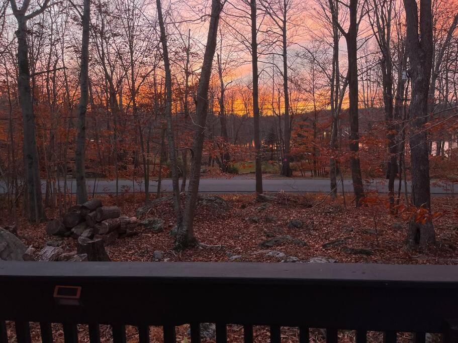 Stylish And Cozy Cabin, Walking Distance To Big Bass Lake Gouldsboro 外观 照片